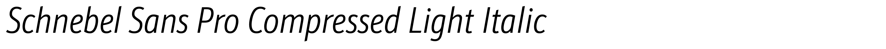 Schnebel Sans Pro Compressed Light Italic